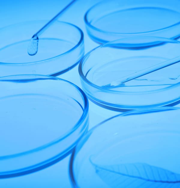 Test in vitro confermano l’attività battericida e virucida della Luce Blu.